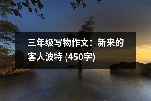 三年級(jí)寫物作文：新來(lái)的客人波特 (450字)