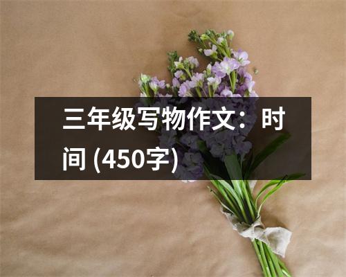 三年級(jí)寫物作文：時(shí)間 (450字)