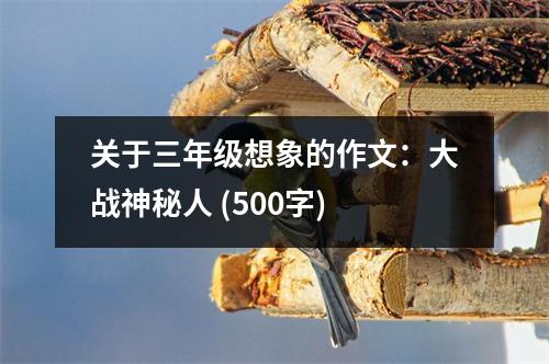 關(guān)于三年級想象的作文：大戰(zhàn)神秘人 (500字)
