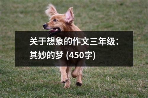 關(guān)于想象的作文三年級：其妙的夢 (450字)