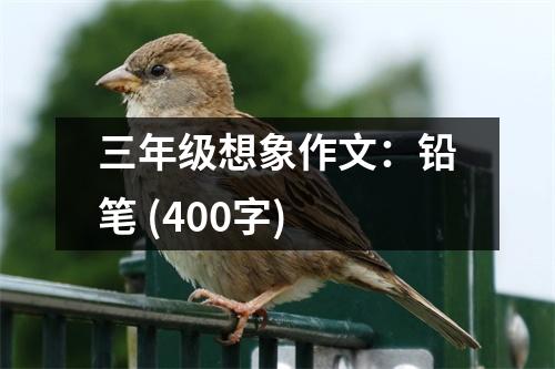 三年級(jí)想象作文：鉛筆 (400字)