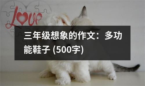 三年級(jí)想象的作文：多功能鞋子 (500字)