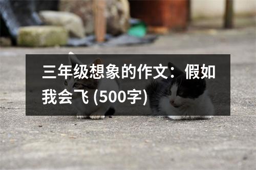三年級(jí)想象的作文：假如我會(huì)飛 (500字)