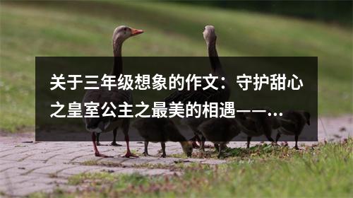 關(guān)于三年級(jí)想象的作文：守護(hù)甜心之皇室公主之最美的相遇——出國(guó) (550字)