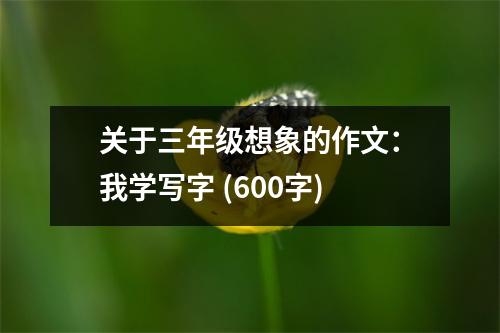關(guān)于三年級(jí)想象的作文：我學(xué)寫字 (600字)