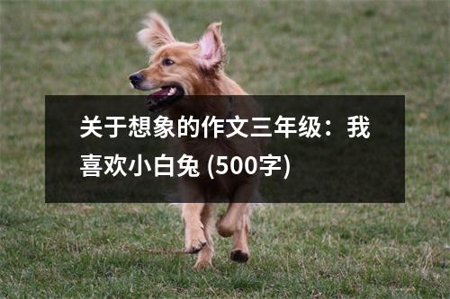 關(guān)于想象的作文三年級：我喜歡小白兔 (500字)