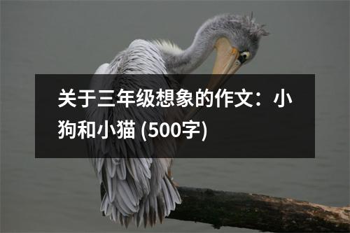 關(guān)于三年級(jí)想象的作文：小狗和小貓 (500字)