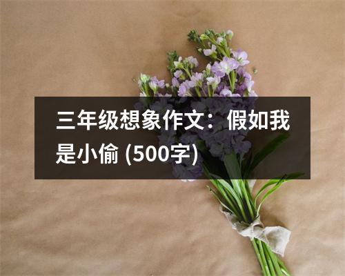 三年級(jí)想象作文：假如我是小偷 (500字)