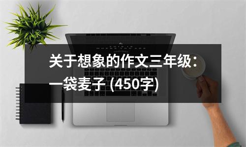 關(guān)于想象的作文三年級(jí)：一袋麥子 (450字)