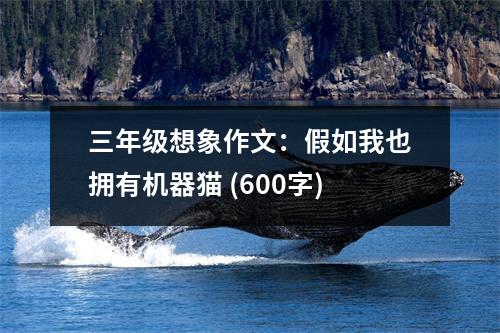 三年級想象作文：假如我也擁有機器貓 (600字)