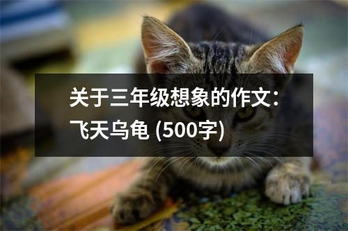 關(guān)于三年級(jí)想象的作文：飛天烏龜 (500字)