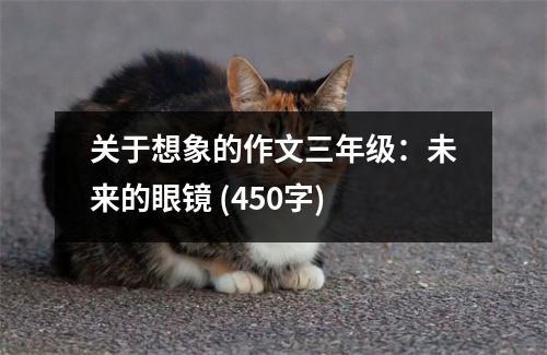 關(guān)于想象的作文三年級(jí)：未來(lái)的眼鏡 (450字)