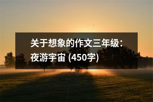 關(guān)于想象的作文三年級：夜游宇宙 (450字)