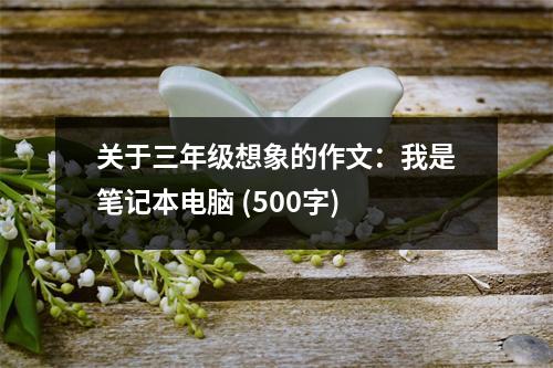 關(guān)于三年級想象的作文：我是筆記本電腦 (500字)