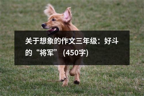 關(guān)于想象的作文三年級(jí)：好斗的“將軍” (450字)