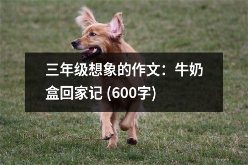 三年級(jí)想象的作文：牛奶盒回家記 (600字)