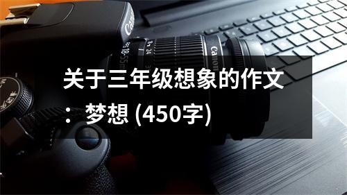關于三年級想象的作文：夢想 (450字)
