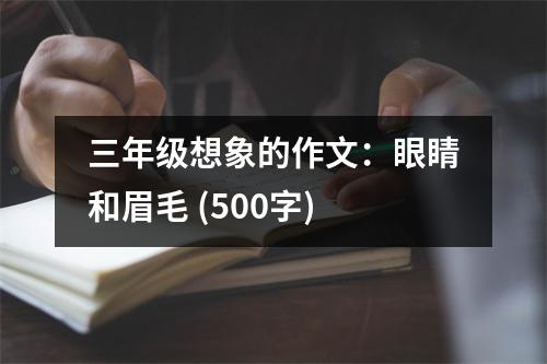 三年級想象的作文：眼睛和眉毛 (500字)