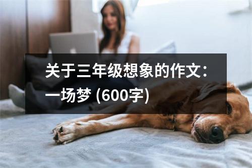關于三年級想象的作文：一場夢 (600字)