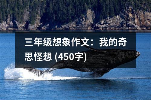 三年級(jí)想象作文：我的奇思怪想 (450字)