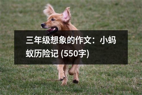三年級(jí)想象的作文：小螞蟻歷險(xiǎn)記 (550字)