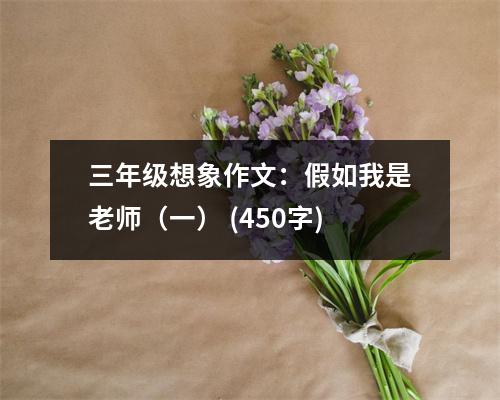 三年級想象作文：假如我是老師（一） (450字)