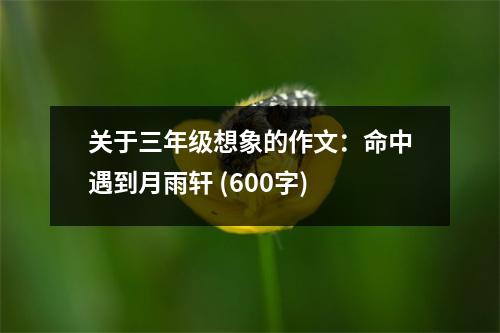 關(guān)于三年級想象的作文：命中遇到月雨軒 (600字)