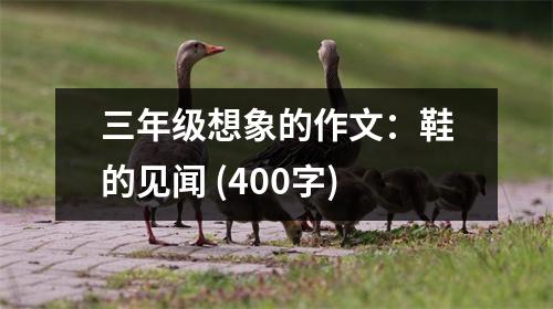 三年級(jí)想象的作文：鞋的見聞 (400字)