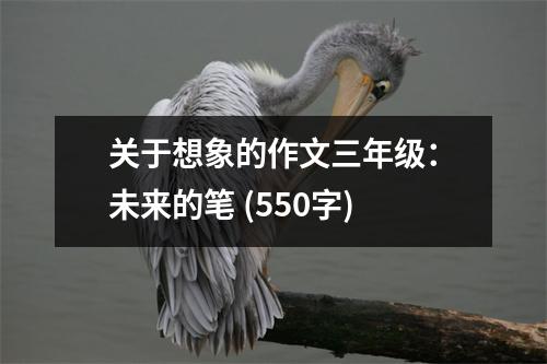 關(guān)于想象的作文三年級(jí)：未來的筆 (550字)