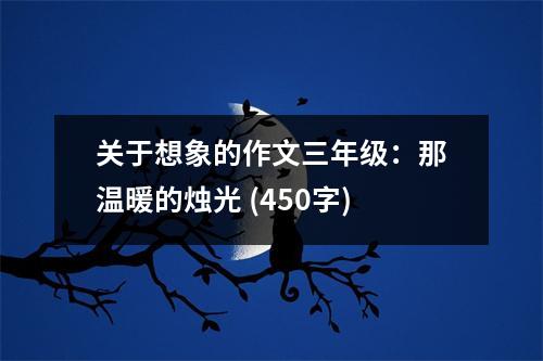 關(guān)于想象的作文三年級：那溫暖的燭光 (450字)