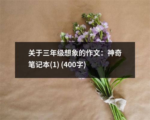 關(guān)于三年級(jí)想象的作文：神奇筆記本(1) (400字)