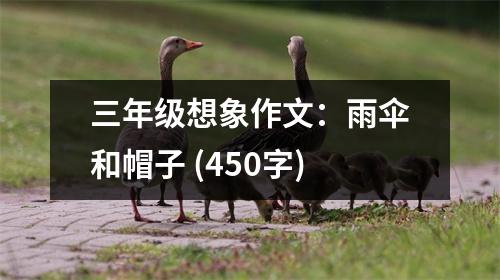 三年級(jí)想象作文：雨傘和帽子 (450字)
