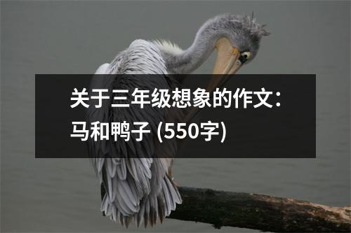 關(guān)于三年級(jí)想象的作文：馬和鴨子 (550字)