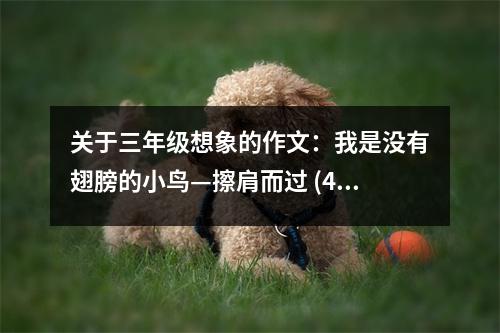 關(guān)于三年級(jí)想象的作文：我是沒有翅膀的小鳥—擦肩而過 (450字)