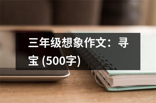 三年級想象作文：尋寶 (500字)