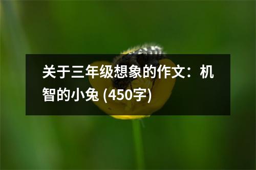 關(guān)于三年級(jí)想象的作文：機(jī)智的小兔 (450字)