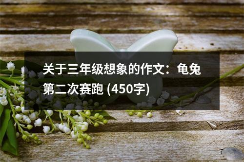 關于三年級想象的作文：龜兔第二次賽跑 (450字)