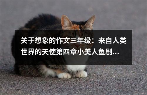 關于想象的作文三年級：來自人類世界的天使第四章小美人魚劇場 (500字)