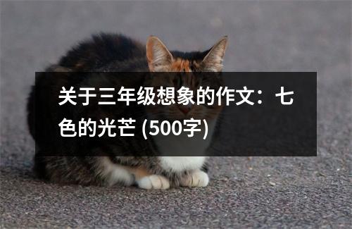 關(guān)于三年級想象的作文：七色的光芒 (500字)