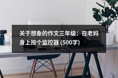 關(guān)于想象的作文三年級：在老媽身上按個監(jiān)控器 (500字)