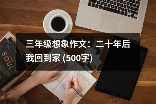 三年級(jí)想象作文：二十年后我回到家 (500字)