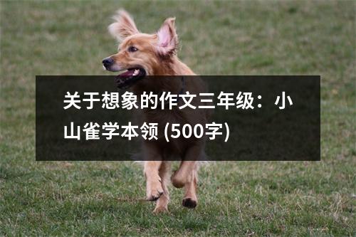 關(guān)于想象的作文三年級(jí)：小山雀學(xué)本領(lǐng) (500字)