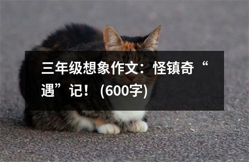 三年級(jí)想象作文：怪鎮(zhèn)奇“遇”記！ (600字)