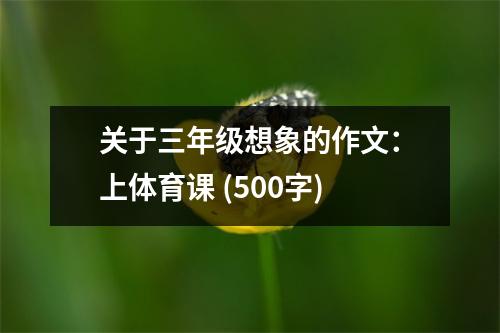 關(guān)于三年級(jí)想象的作文：上體育課 (500字)