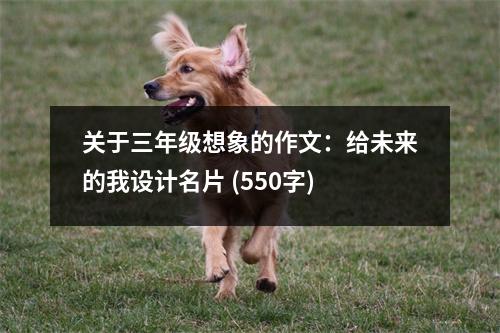 關(guān)于三年級(jí)想象的作文：給未來的我設(shè)計(jì)名片 (550字)