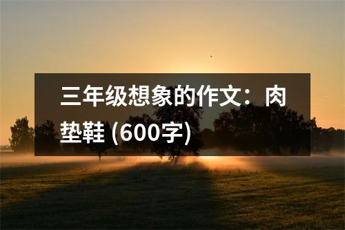 三年級想象的作文：肉墊鞋 (600字)