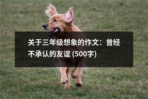 關(guān)于三年級想象的作文：曾經(jīng)不承認的友誼 (500字)