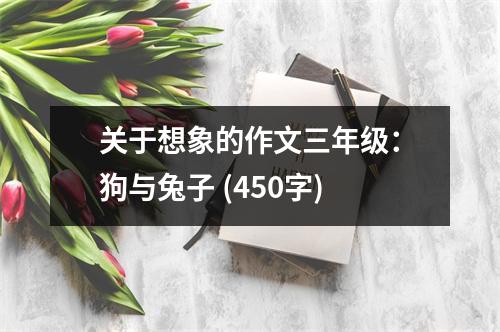 關(guān)于想象的作文三年級：狗與兔子 (450字)