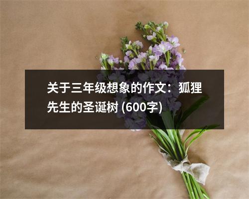 關(guān)于三年級想象的作文：狐貍先生的圣誕樹 (600字)