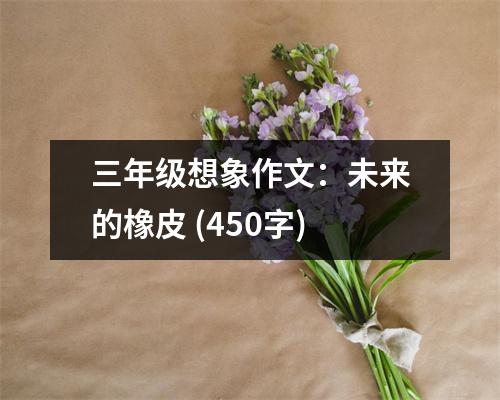 三年級想象作文：未來的橡皮 (450字)